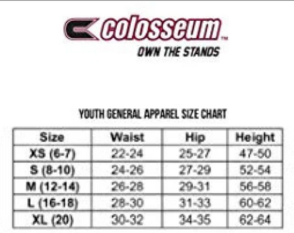 NC State Wolfpack Colosseum Youth Charcoal Wolfhead Ripple Shorts