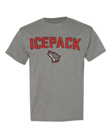 Icepack Grey T-Shirt